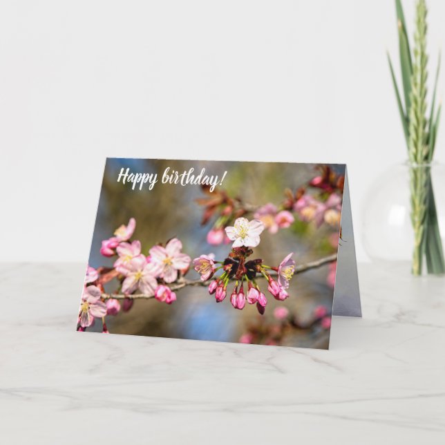 Carte Fleurs De Sakura Fraîches Au Soleil Et Bufs Violet (Devant)