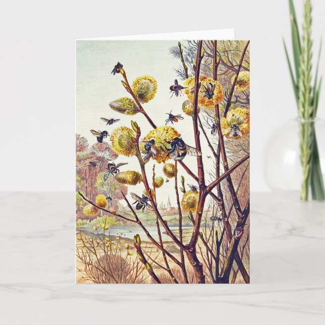 Carte Fleurs de saule de printemps d'abeilles vintage (Devant)