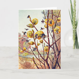 Carte Fleurs de saule de printemps d'abeilles vintage