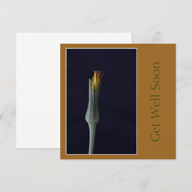 Carte Fleurs de Ton Brun Doré pour un Rétablissement (Devant / Derrière)