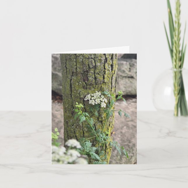 Carte Fleurs d'été (Devant)