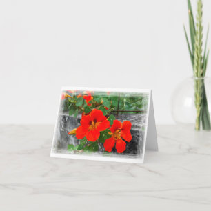 Carte Fleurs d'orange vif