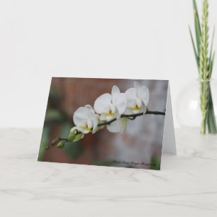 Carte Fleurs d'orchidée