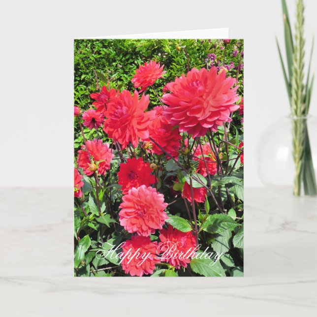 CARTE FLEURS DU JARDIN DE PAYS (Devant)