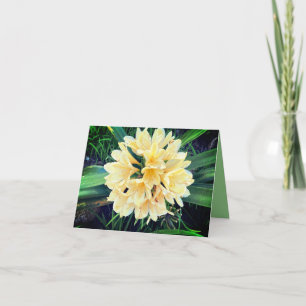 Carte Fleurs Éclatantes 