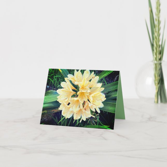 Carte Fleurs Éclatantes  (Devant)