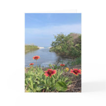 fleurs en bord de mer (vierge à l'intérieur)