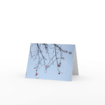 Carte Fleurs Fierces