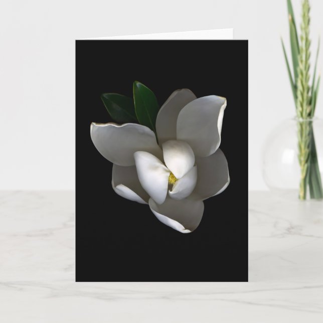Carte Fleurs | Fleur de Magnolia blanc unique (Devant)