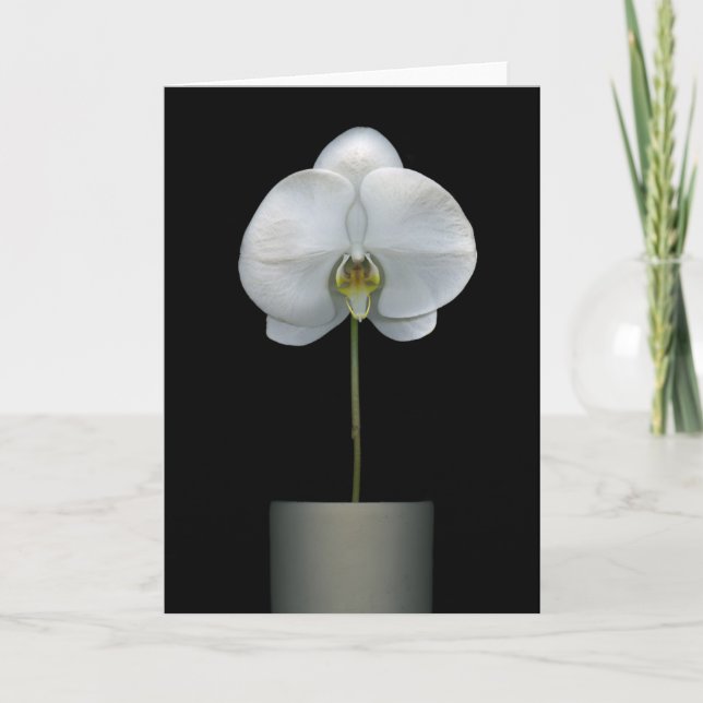 Carte Fleurs | Fleur d'orchidées blanches (Devant)