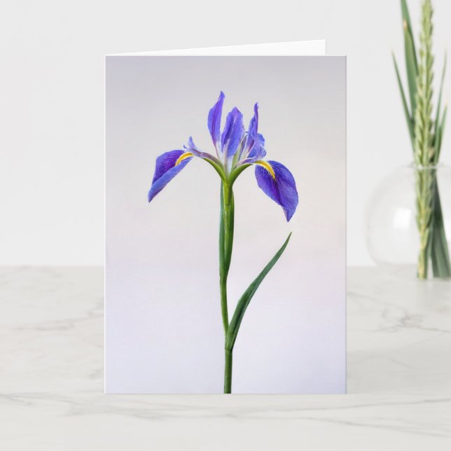 Carte Fleurs | Fleur Iris Violet (Devant)