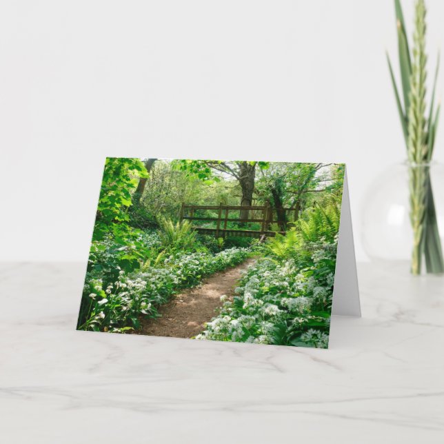 Carte Fleurs | Fleurs sauvages blancs en forêt (Devant)