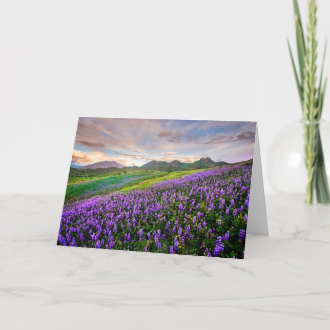 Carte Fleurs | Fleurs sauvages californiens (Devant)