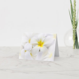 Carte Fleurs florales de Plumeria de Frangipani blanc de