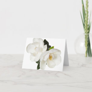Carte Fleurs florales des Magnolias blancs