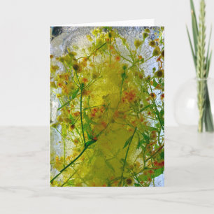 Carte Fleurs glacées,