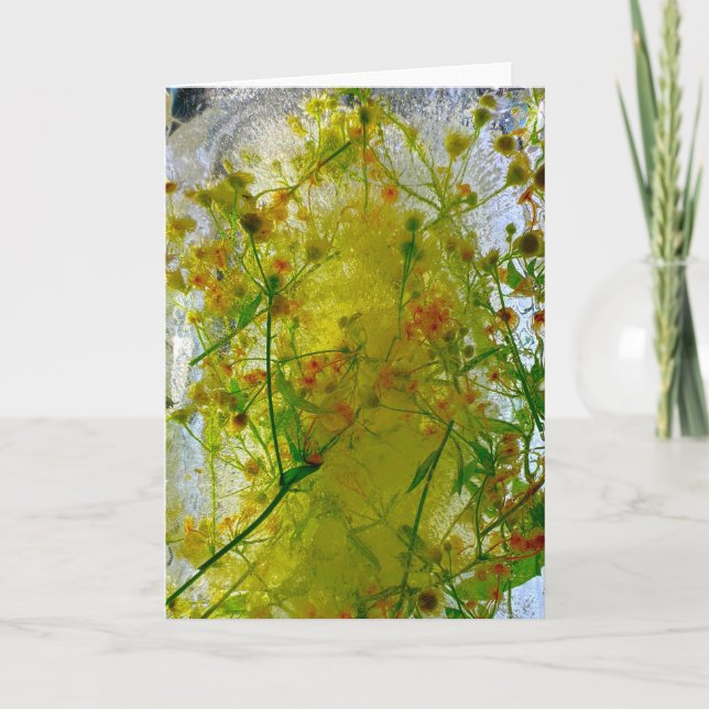 Carte Fleurs glacées, (Devant)