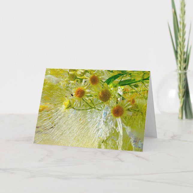 Carte Fleurs glacées, (Devant)