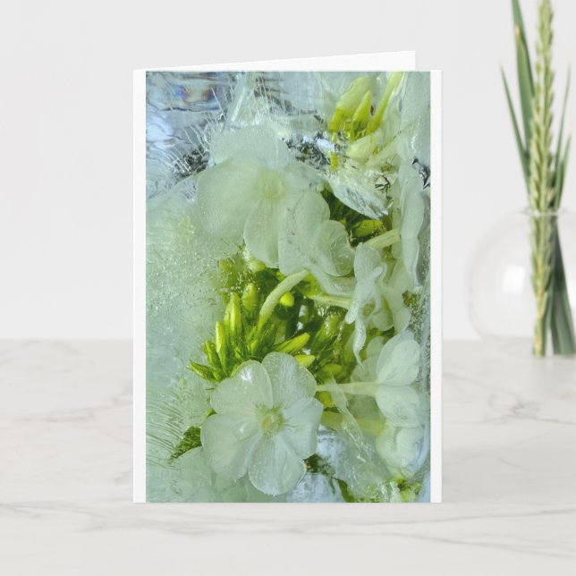 Carte Fleurs glacées, (Devant)