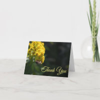 Fleurs Jaunes Bee Bumblebee Nature Photographie
