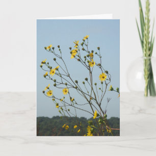 Carte Fleurs Jaunes Qui Pensent À Votre Amitié