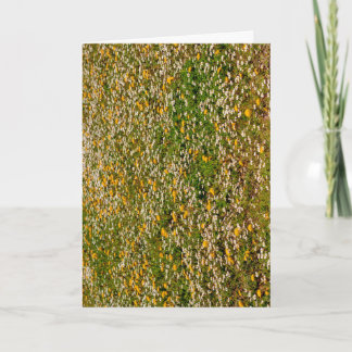 Carte Fleurs minimalistes de printemps Marguerites Pisse