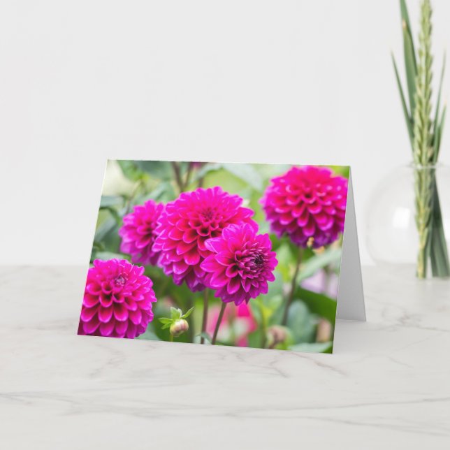 Carte Fleurs Pompom Rose Chaud (Devant)