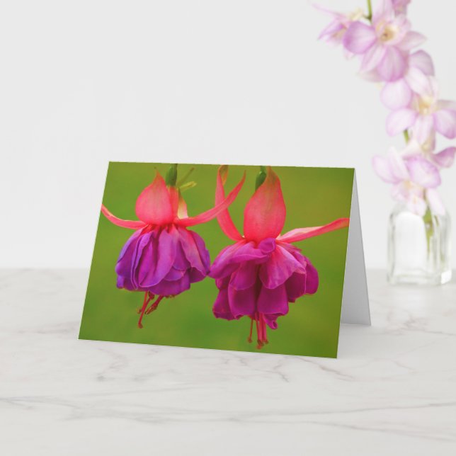Carte Fleurs pour encourager ma sœur atteinte de cancer (Orchidée)