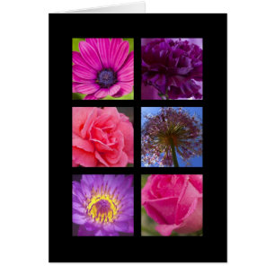 Carte - fleurs pourpres roses