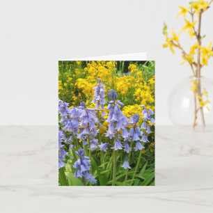 Carte Fleurs printanières jonquilles et giroflées photo
