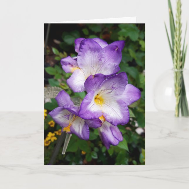 Carte Fleurs Purple Freesia (Devant)