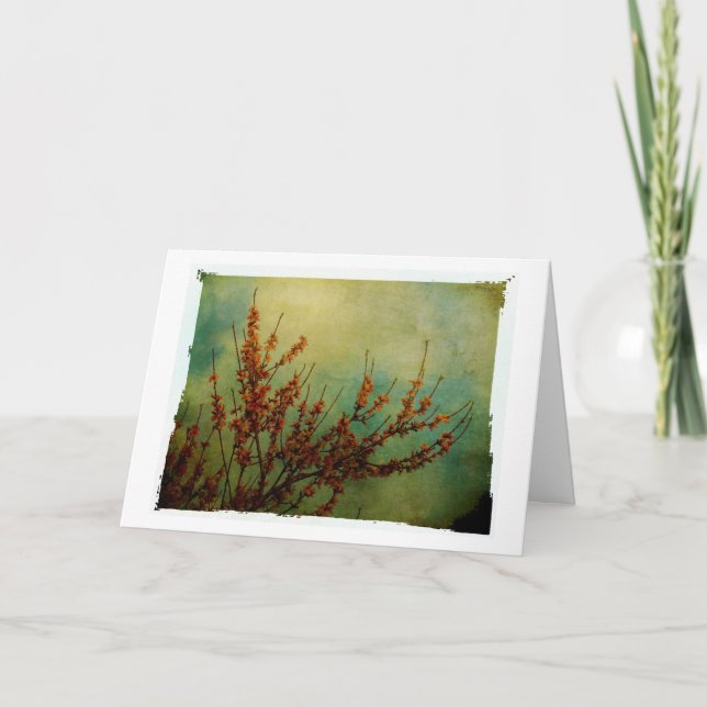 Carte Fleurs, Remettez-vous vite (Devant)