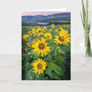 Carte Fleurs Rivière Balsomroot Columbia, Oregon