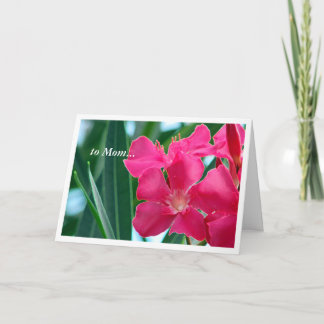 Carte Fleurs roses