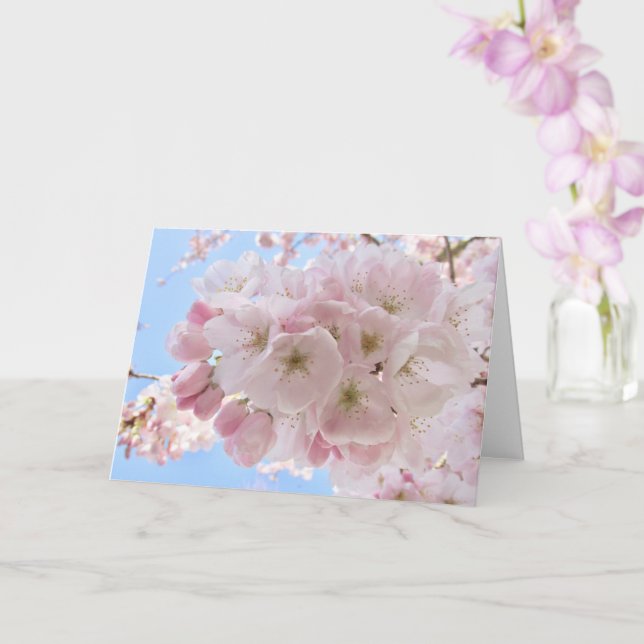 Carte Fleurs roses Ciel bleu (Orchidée)