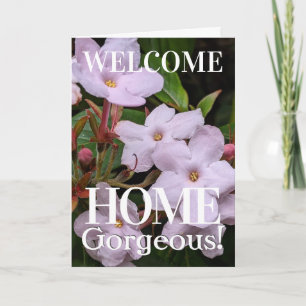 Carte Fleurs Roses Douces Accueil Personnalisé Accueil M
