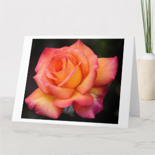 Carte fleurs roses fleurs fleurs fleurs pétales