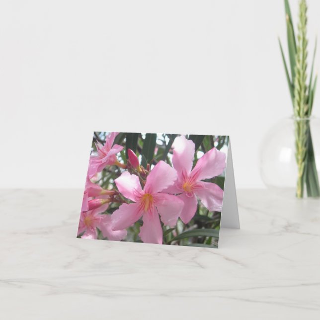 Carte Fleurs roses florissantes (Devant)
