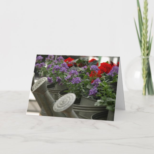 Carte fleurs rouges et pourpres dans des arrosoirs (Devant)