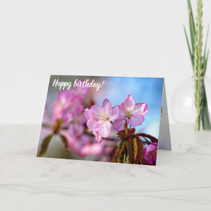 Carte Fleurs Sakura Étonnantes Et Extraordinaires Au Pri