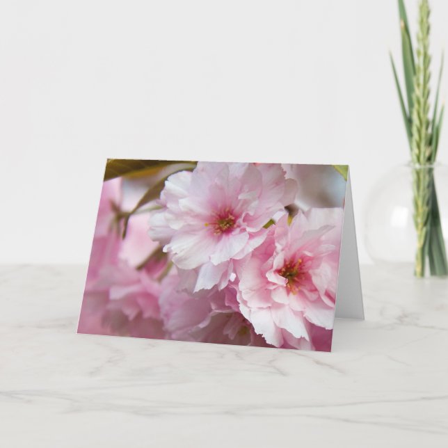 Carte Fleurs Sakura roses (Devant)