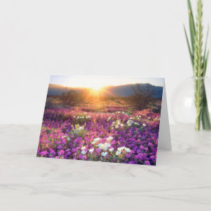 Carte Fleurs sauvages au coucher du soleil Désert d'An