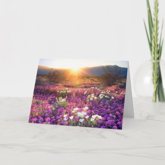 Carte Fleurs sauvages au coucher du soleil | Désert d'An (Devant)