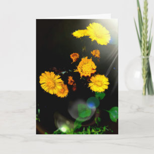 Carte Fleurs sauvages au soleil