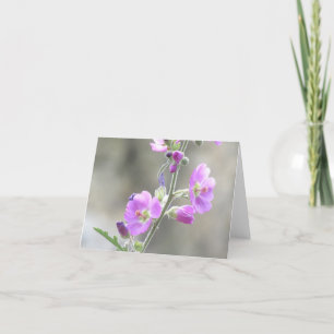 Carte Fleurs sauvages du monde rose