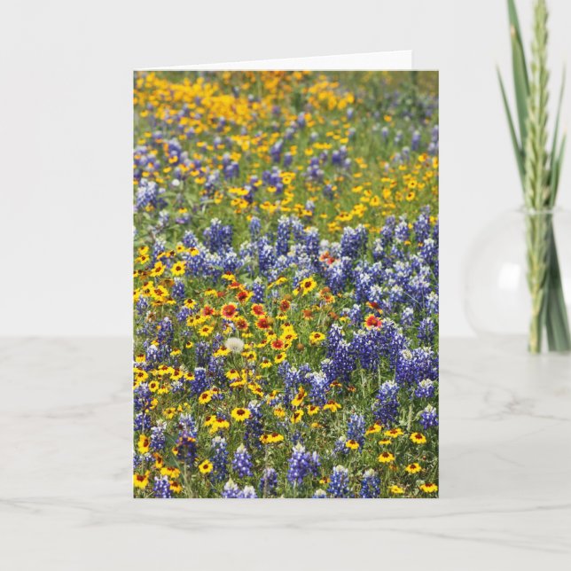 Carte Fleurs sauvages du Texas par Cynthia Wenslow (Devant)