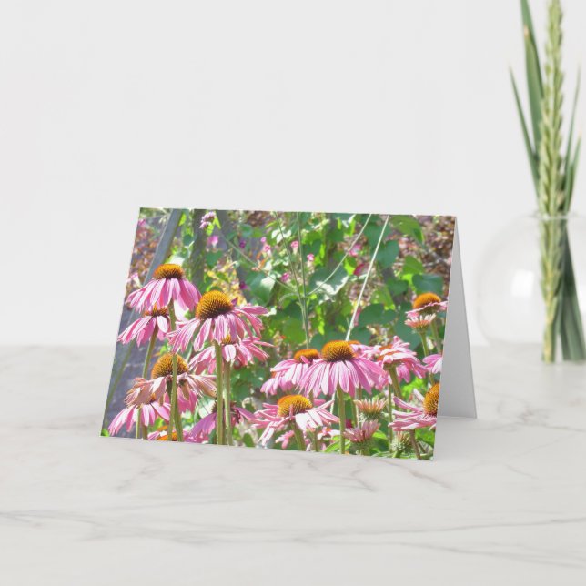 Carte Fleurs sauvages roses (Devant)