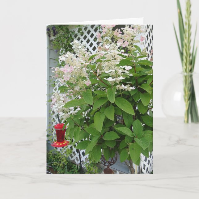 Carte Fleurs Sur Trellis & Hummingbird Feeder (Devant)