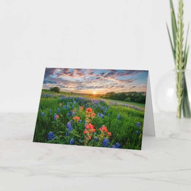 Carte Fleurs | Texas Bluebonnets & Indian Paintbrush (Devant)