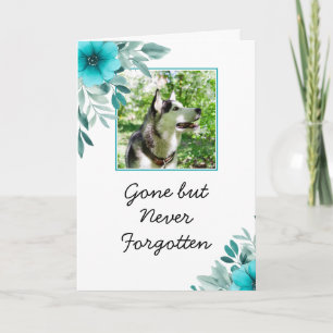 Carte Fleurs Turquoises chic Sympathie photo animal